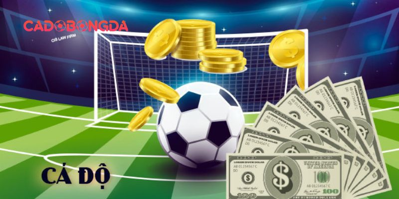 Mẹo chơi cá cược bóng đá online hiệu quả