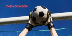 Rủi ro cá độ